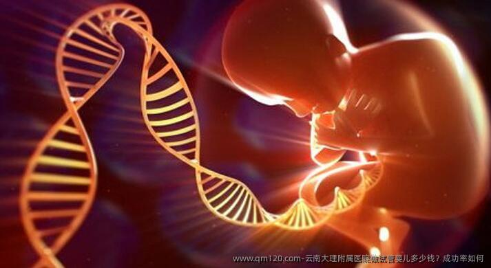 云南大理附属医院做试管婴儿多少钱？成功率如何