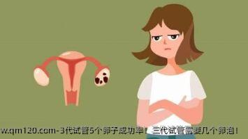 3特需成功率！三代试管需要几个卵泡！