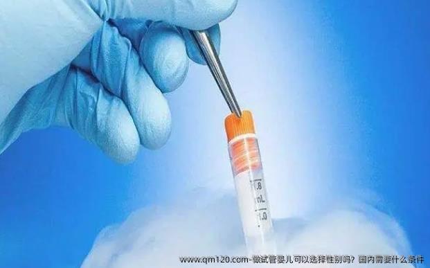 做试管婴儿可以选择**吗？国内需要什么条件