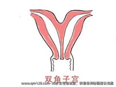 30岁女性做试管，卵巢保养秘籍建议收藏