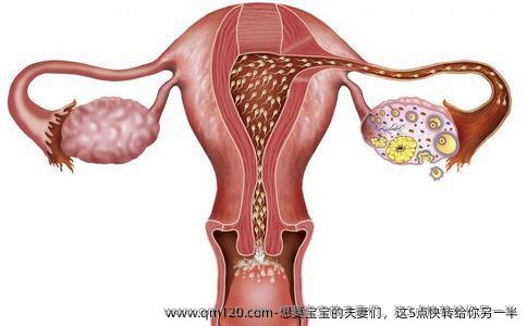 想要宝宝的夫妻们，这5点快转给你另一半