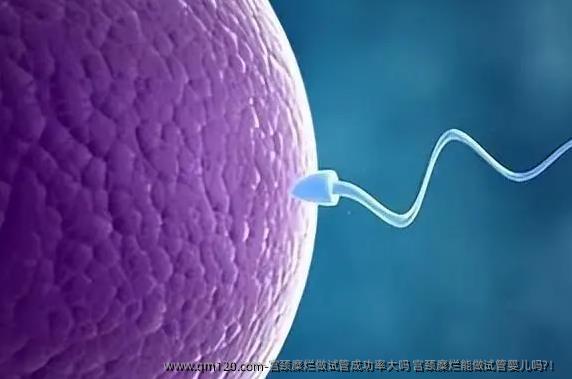 宫颈糜烂做试管成功率大吗 宫颈糜烂能做试管婴儿吗?！ 