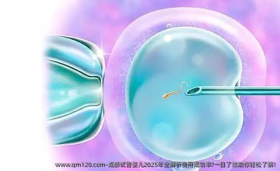 成都试管婴儿2025年全解析费用成功率?一目了然助你轻松了解!