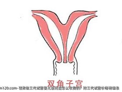 甘肃做三代试管婴儿医院是怎么收费的？附三代试管价格明细表