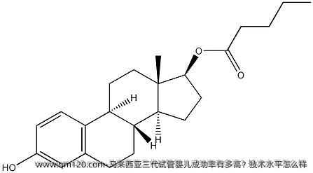 马来西亚三代试管婴儿成功率有多高？技术水平怎么样