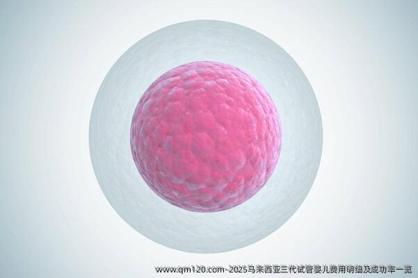 2025马来西亚三代试管婴儿费用明细及成功率一览