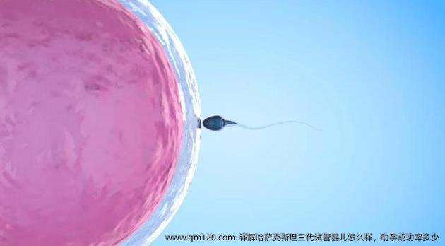 详解哈萨克斯坦三代试管婴儿怎么样，助孕成功率多少