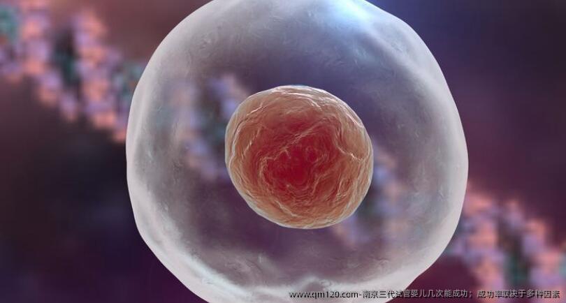 南京三代试管婴儿几次能成功；成功率取决于多种因素