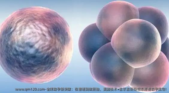 全球助孕新突破：在塞班到做胚胎，美国技术+吉尔吉斯斯坦**者助孕成功!