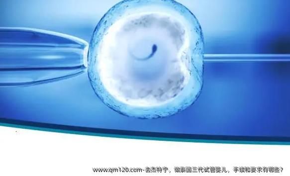 去杰特宁，做泰国三代试管婴儿，手续和要求有哪些？