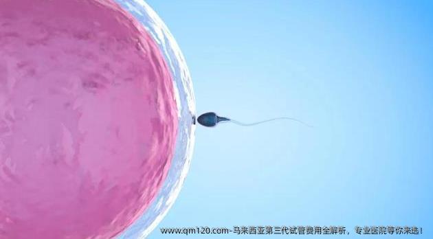 马来西亚第三代试管费用全解析，专业医院等你来选！