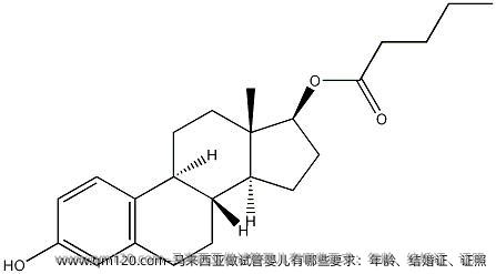 马来西亚做试管婴儿有哪些要求：年龄、结婚证、证照