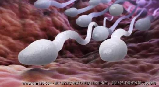 湖北省妇幼保健院生殖科医生排名，2025好评最多试管大夫参考