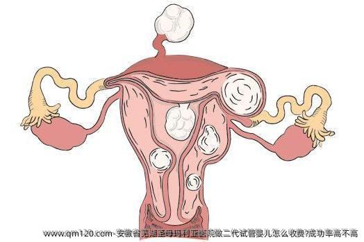 安徽省芜湖圣母玛利亚医院做二代试管婴儿怎么收费?成功率高不高