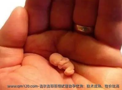 吉尔吉斯斯坦试管助孕优势：技术成熟，性价比高