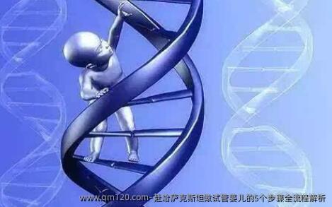 赴哈萨克斯坦做试管婴儿的5个步骤全流程解析