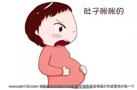 染色体有问题可以做试管吗?染色体异常做三代试管多少钱一个
