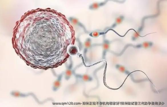 郑州正规不孕机构哪家好?郑州做试管三特需孕育费用多少