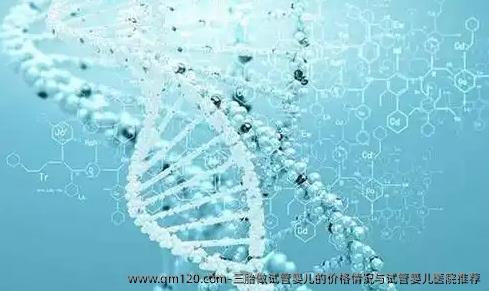 三胎做试管婴儿的价格情况与试管婴儿医院推荐