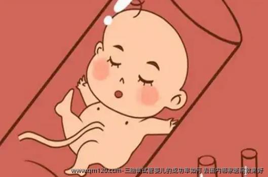 三胎做试管婴儿的成功率如何 去国内哪家医院效果好