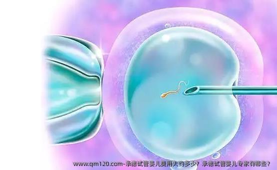 承德试管婴儿费用大约多少？承德试管婴儿专家有哪些？
