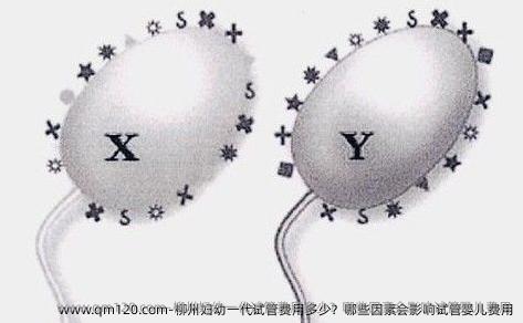 柳州妇幼一代试管费用多少？哪些因素会影响试管婴儿费用
