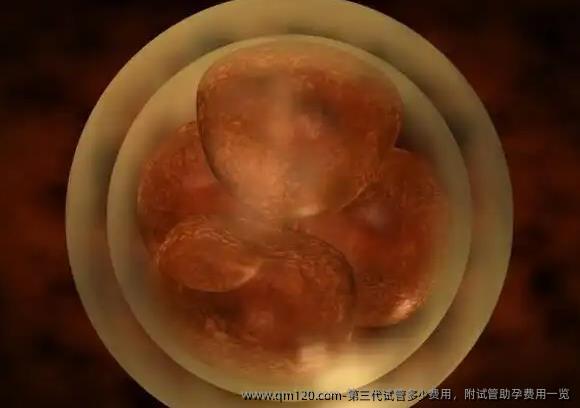 第三代试管多少费用，附试管助孕费用一览