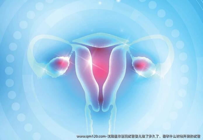 沈阳盛京医院试管婴儿做了多久了，最早什么时候开展的试管
