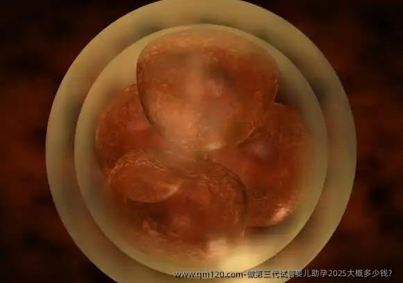 做第三代试管婴儿助孕2025大概多少钱？