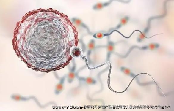 昆明和万家妇产医院试管婴儿遭遇输卵管积液该怎么办？