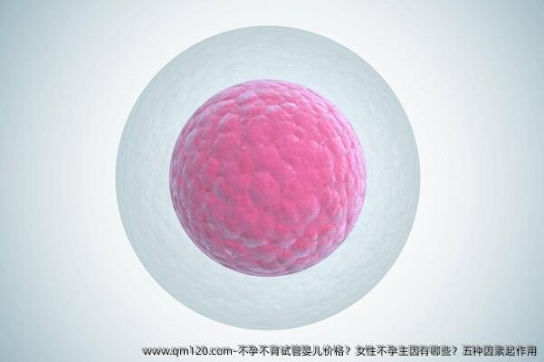 不孕不育试管婴儿价格？女性不孕主因有哪些？五种因素起作用