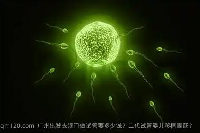 广州出发去澳门做试管要多少钱？二代试管婴儿移植囊胚？