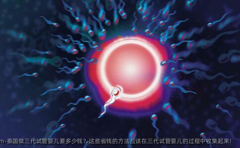 泰国做三代试管婴儿要多少钱？这些省钱的方法应该在三代试管婴儿的过程中收集起来！