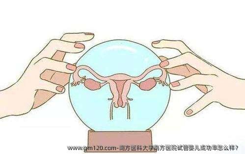 南方医科大学南方医院试管婴儿成功率怎么样？