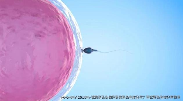 试管是否比自怀更容易染色体异常？附试管染色体异常概率