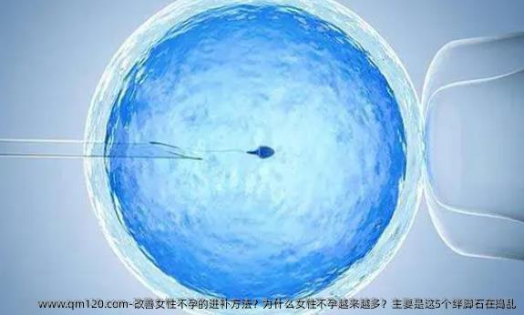 改善女性不孕的进补方法？为什么女性不孕越来越多？主要是这5个绊脚石在捣乱
