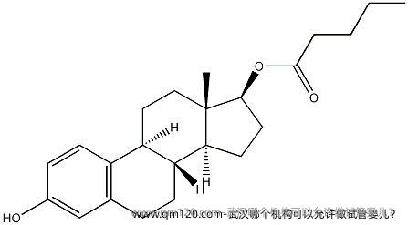 武汉哪个机构可以允许做试管婴儿？