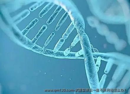 试管卵泡取出后一直不来月经怎么办？