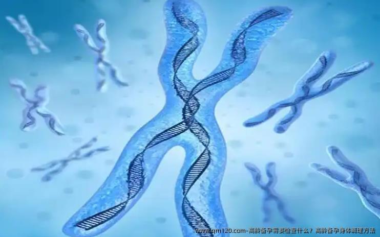 高龄备孕需要检查什么？高龄备孕身体调理方法