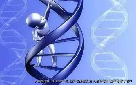 去北京准备做第三代试管婴儿助孕要多少钱？
