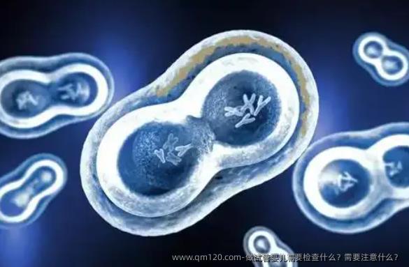 做试管婴儿需要检查什么？需要注意什么？