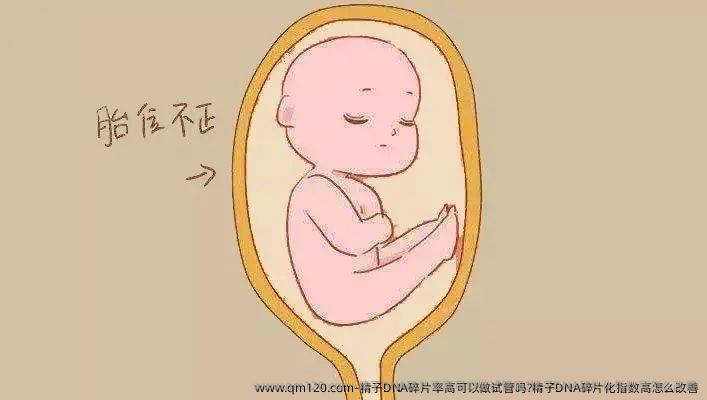 精子DNA碎片率高可以做试管吗?精子DNA碎片化指数高怎么改善
