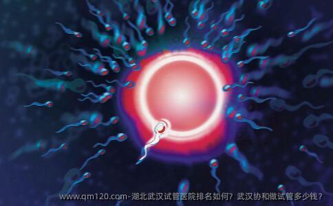 湖北武汉试管医院排名如何？武汉协和做试管多少钱？