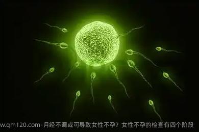 月经不调或可导致女性不孕？女性不孕的检查有四个阶段