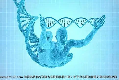 如何选择体外受精冷冻胚胎移植方案？关于冷冻胚胎移植方案的详细说明