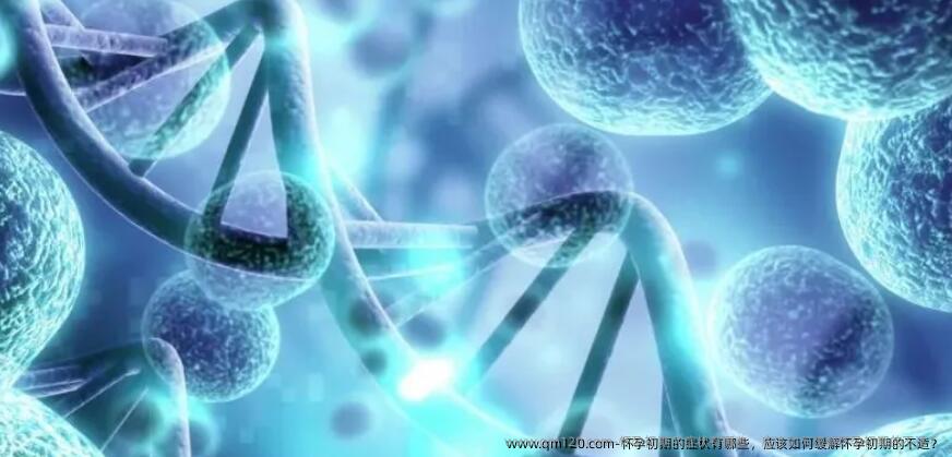 怀孕初期的症状有哪些，应该如何缓解怀孕初期的不适？