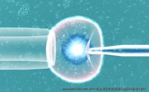 2025年上海三代<a href=