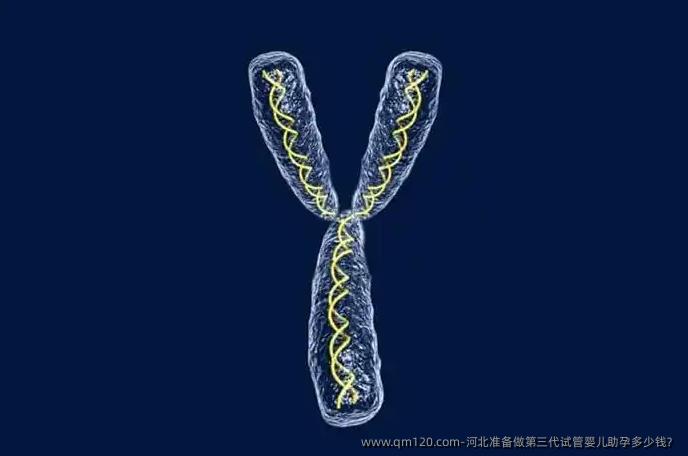 河北准备做第三代<a href=
