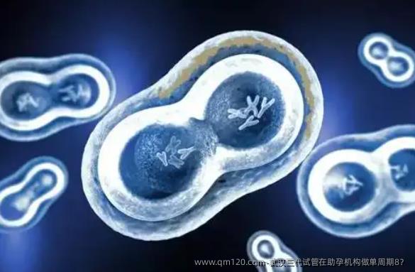 武汉三代试管在助孕机构做单周期8？