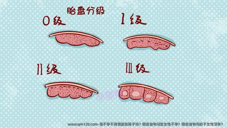 查不孕不育需要脱裤子吗？哪些食物导致女性不孕？哪些食物有助于女性受孕？